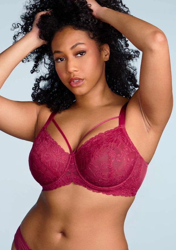 👙TRIAUMPH – [4 τεμ.] 🔥Σέξι γυναικείο σουτιέν Plus Size από 50% δαντέλα - Ένα σουτιέν plus size που αναδεικνύει την όμορφη σιλουέτα σας